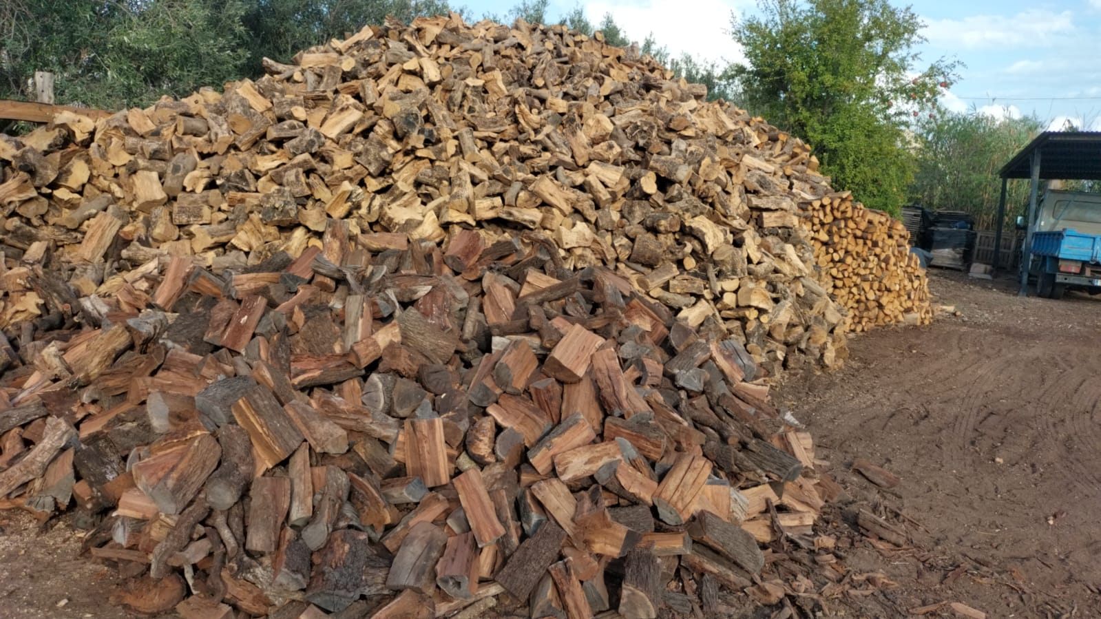 🌱 Llenya ecològica a Mallorca: opcions i consells per estalviar 🔥